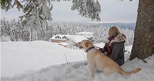 Hundeurlaub im Winter garantiert mit Schnee in Philippsreut